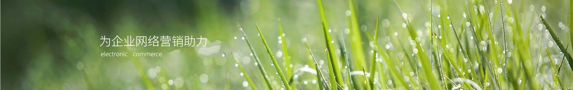 ڵԶƼ޹˾
